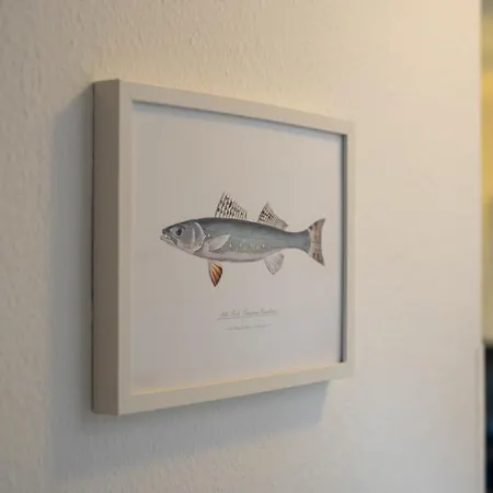 Zander Im Lenzer Hoeh